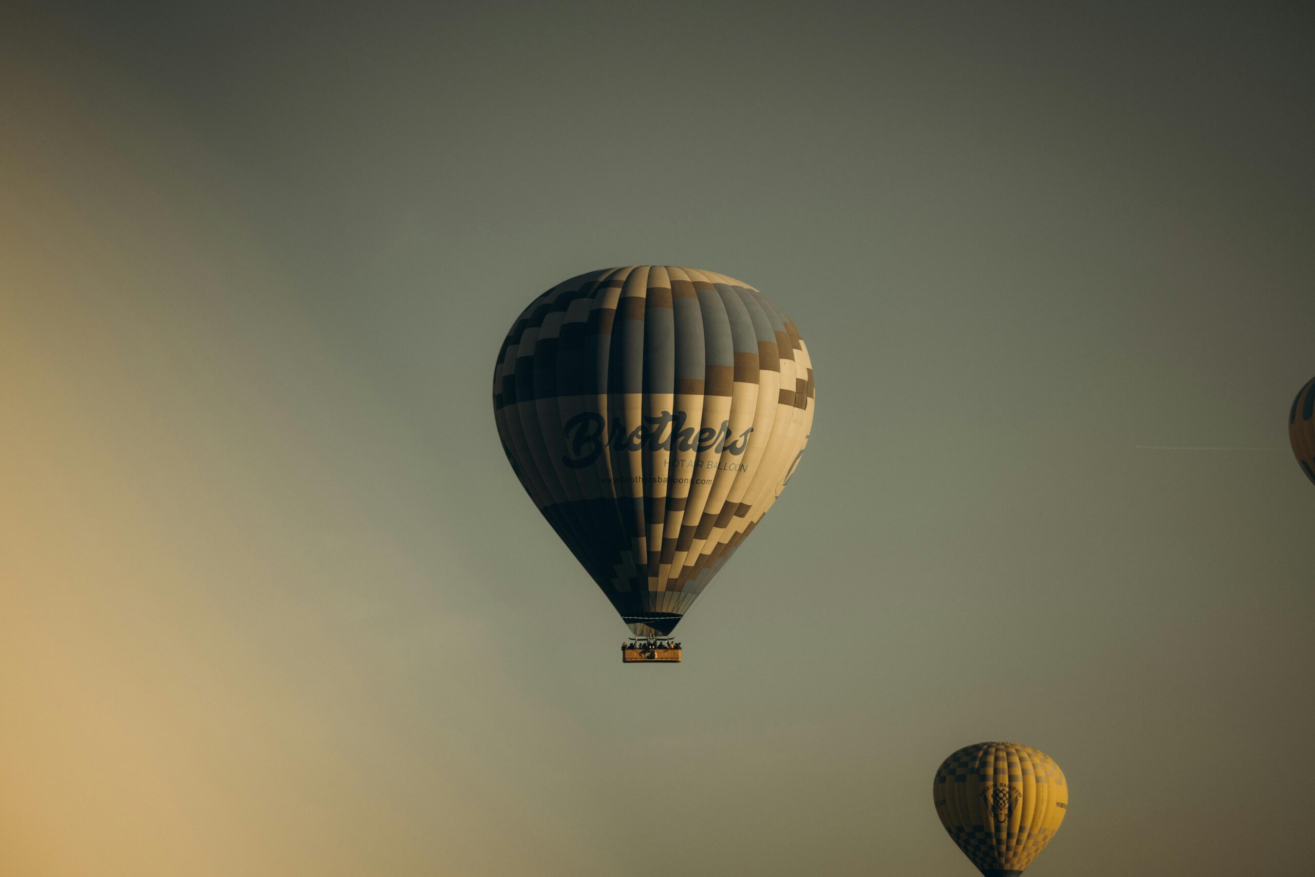 pexels-kadiravsarr-24877136